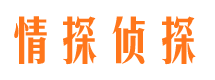 三门峡外遇出轨调查取证